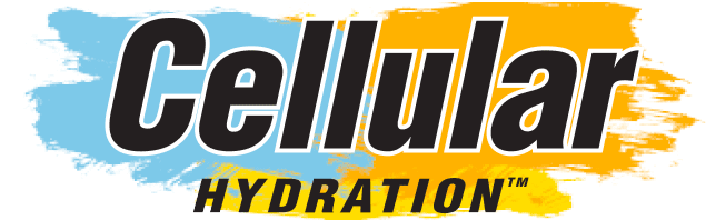 Project Logo